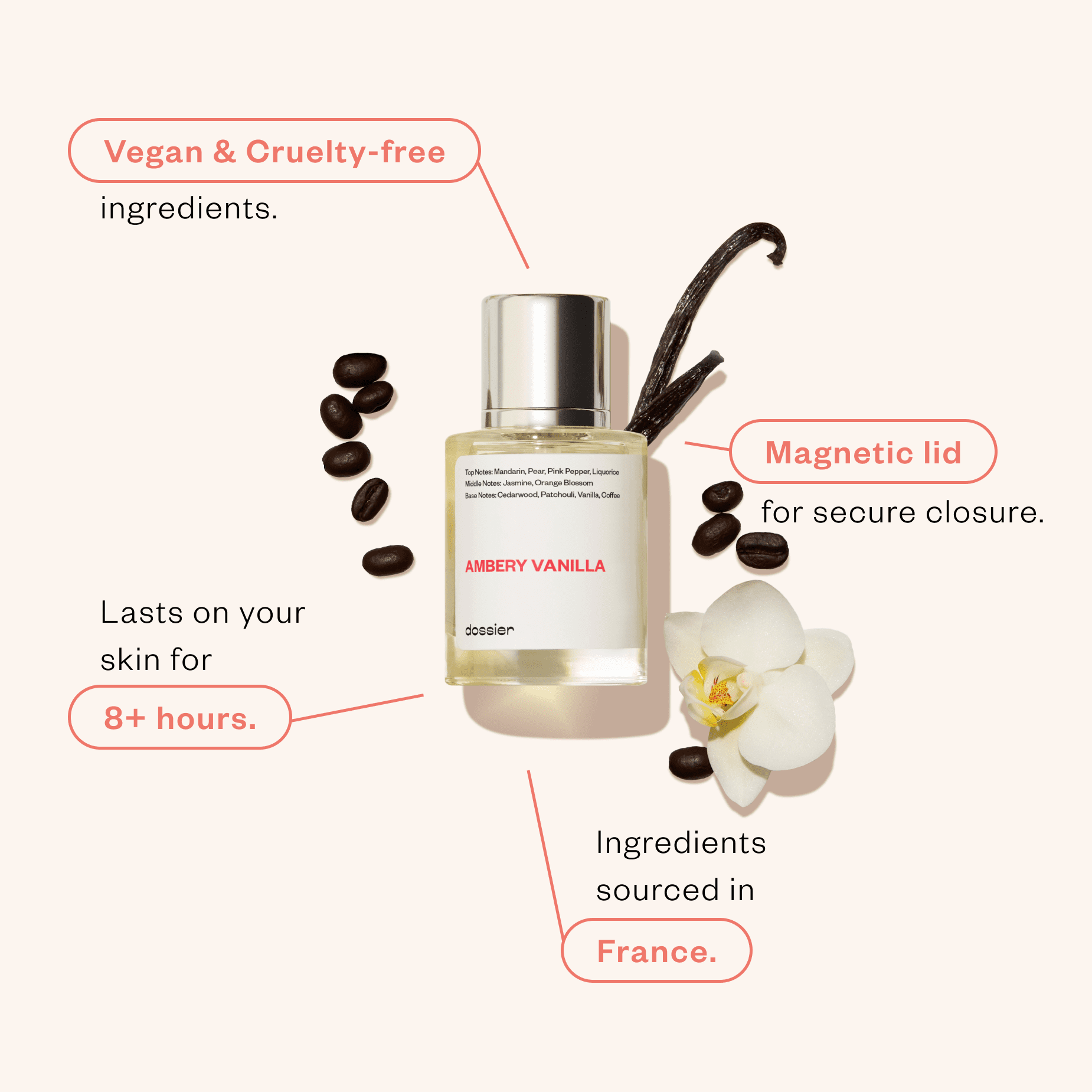 Dossier Ambery Vanilla Eau de Parfum for Women, 50ml / 1.7 oz - 图片 3