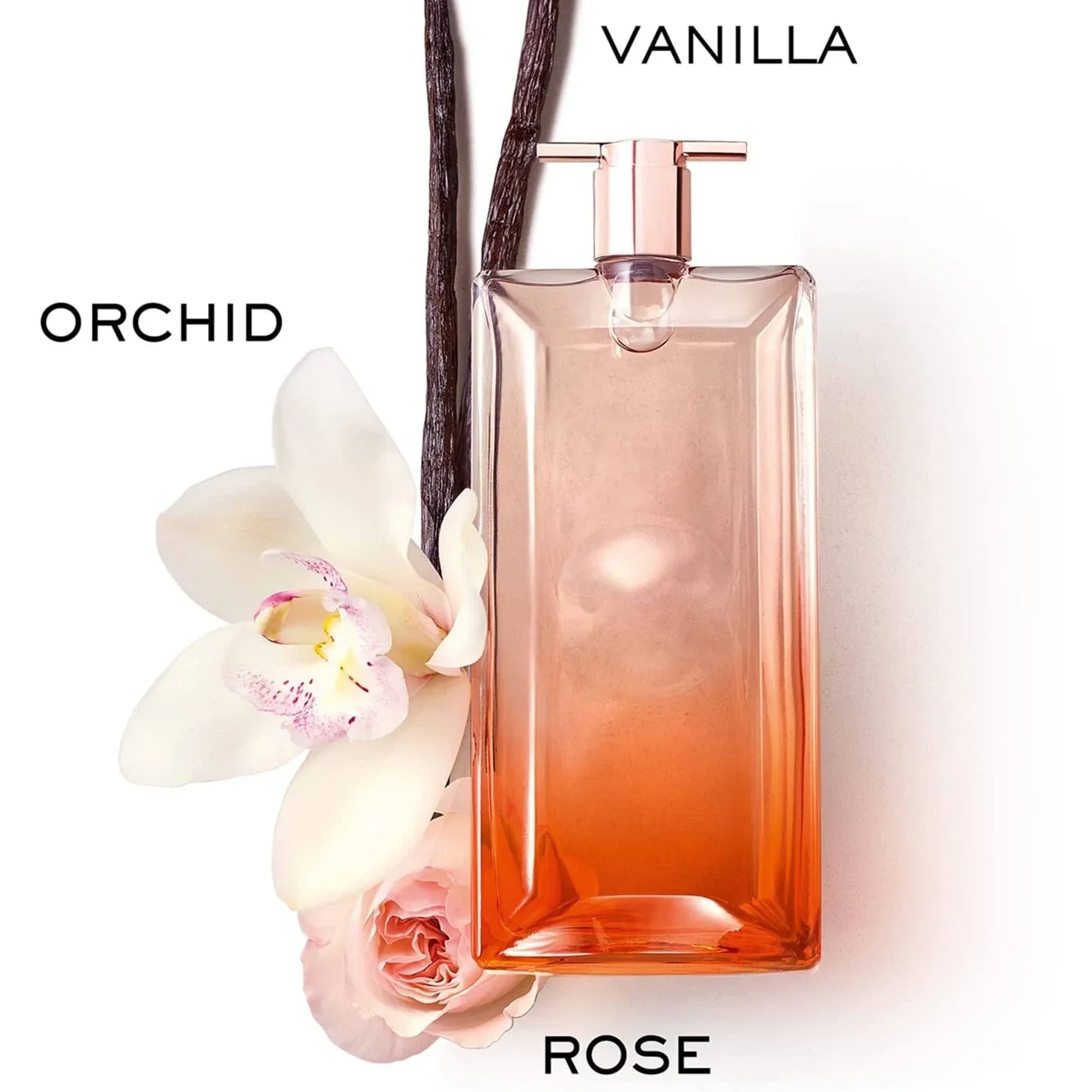 Lancôme Idôle Now Eau de Parfum for Women - 图片 3