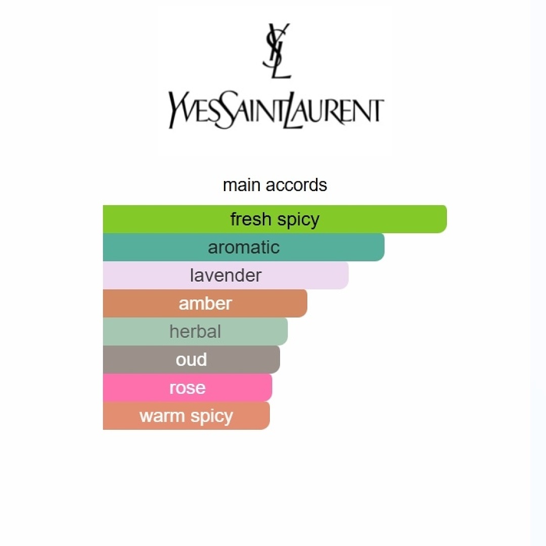 Y Elixir Yves Saint Laurent 100ml alternate view